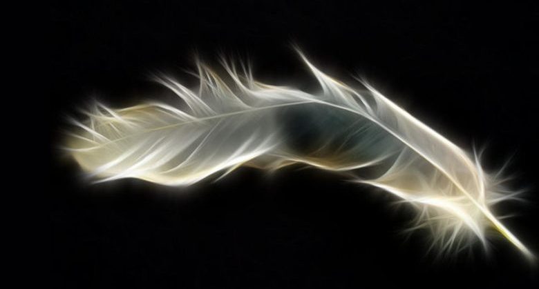 abstract-feather-60238