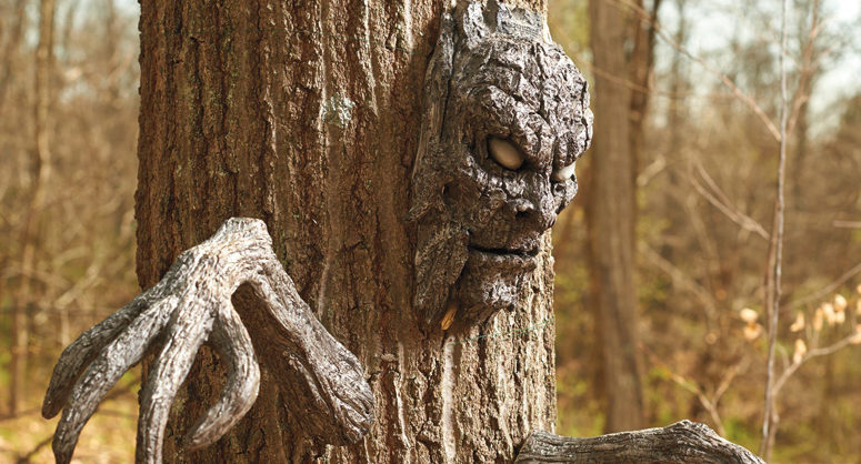 creepy-tree-face-branch-arms-set-xl