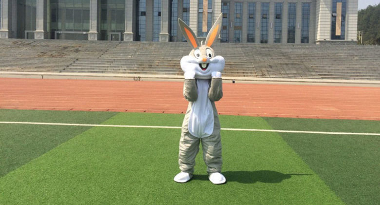 wholesale-PROFESSIONAL-EASTER-BUNNY-MASCOT-COSTUME-Bugs-gray-Rabbit-Hare-Adult-Fancy-Dress-Cartoon-Suit-Fancy