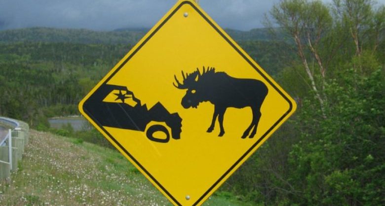 moose_related_carcrashes.jpeg.size.custom.crop.867x650